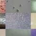 Types Of Painting Defects